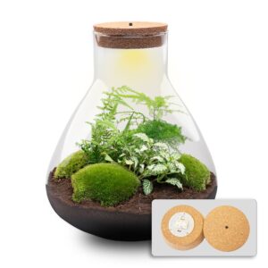 15623178158415 1.jpg